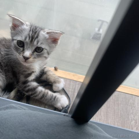 苏煜于2023-08-02 15:07发布的图片