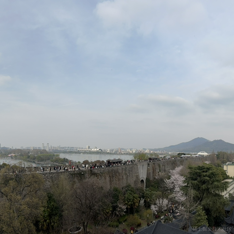 自由的_鱼于2023-03-20 17:33发布的图片