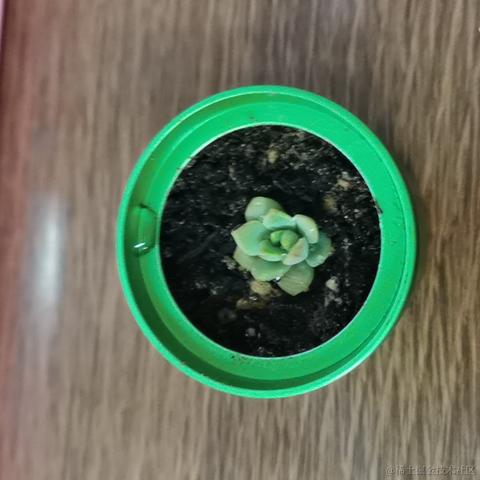 长安某hs于2023-04-10 10:32发布的图片