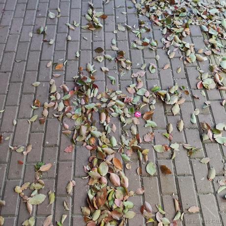 优秀稳妥的金枪小魔王于2023-03-16 08:38发布的图片