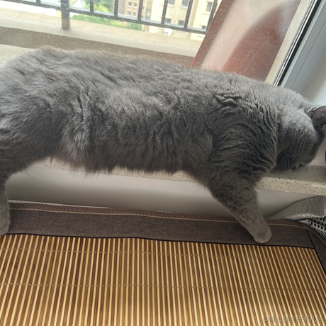 bellaQAQ于2023-06-21 09:12发布的图片