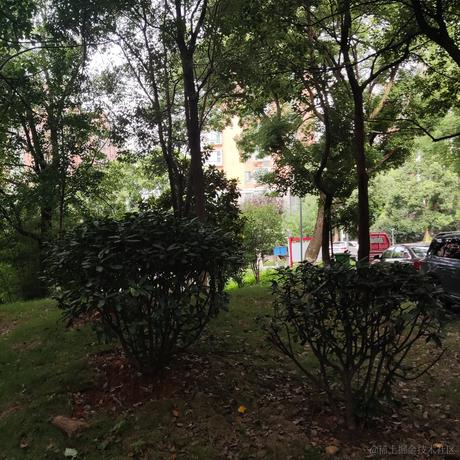 为乃琳小姐坚持打卡于2023-06-29 07:37发布的图片