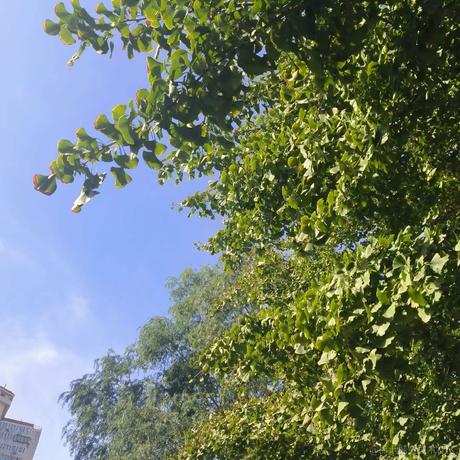 衿璃于2023-10-18 11:23发布的图片