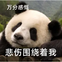 熊猫.png