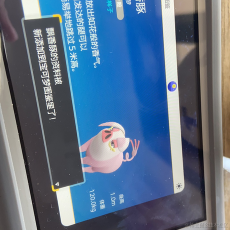 懒不堕于2022-11-19 15:29发布的图片