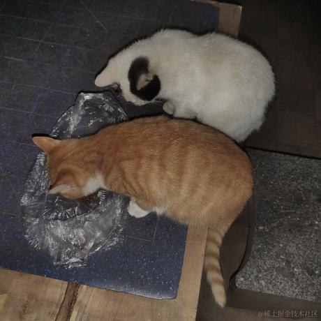 稍微合格的水军于2022-11-20 18:01发布的图片