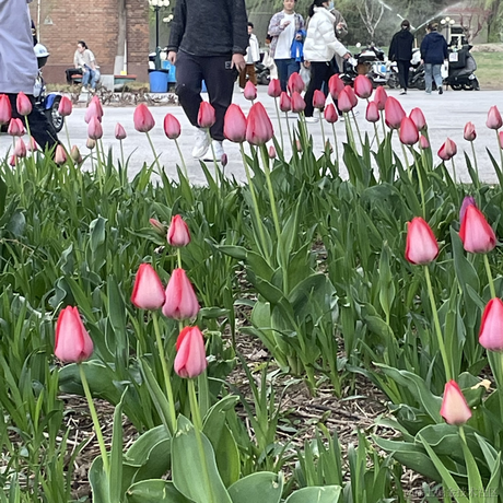 大草原的湖边6于2023-04-14 10:42发布的图片