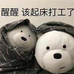 抖音开放平台于2022-11-21 10:38发布的图片