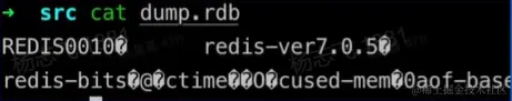 RDB文件.png