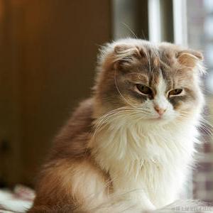 我正在努力减肥于2020-12-24 15:12发布的图片