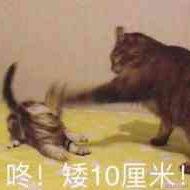 MarBlue于2022-12-16 10:35发布的图片