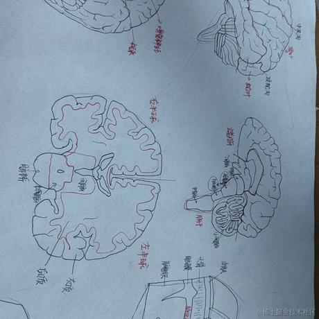 说多了都是口水于2023-08-16 10:00发布的图片