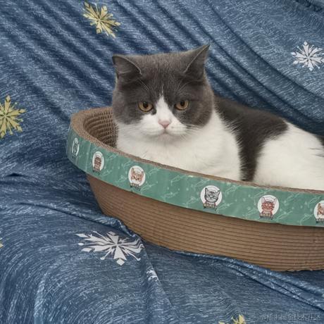 不愿透漏姓名的方先生于2023-05-27 16:29发布的图片