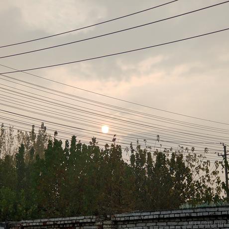 果冻0001于2022-11-11 08:09发布的图片