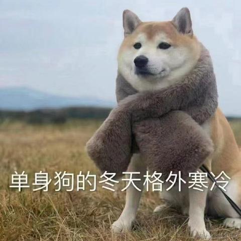 可乐真好吃于2021-12-14 16:00发布的图片