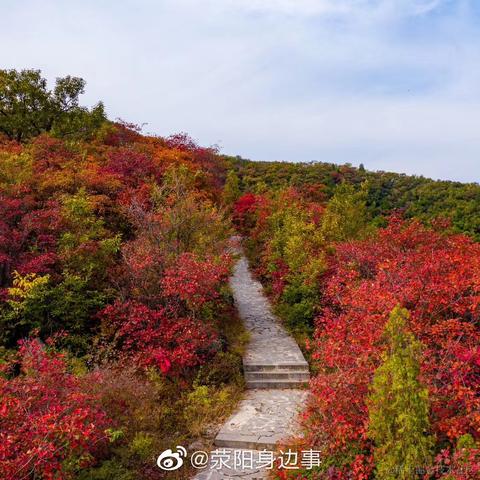 爱吃荆芥于2020-10-30 09:54发布的图片