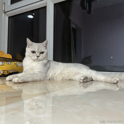 九叔no于2022-11-17 23:05发布的图片