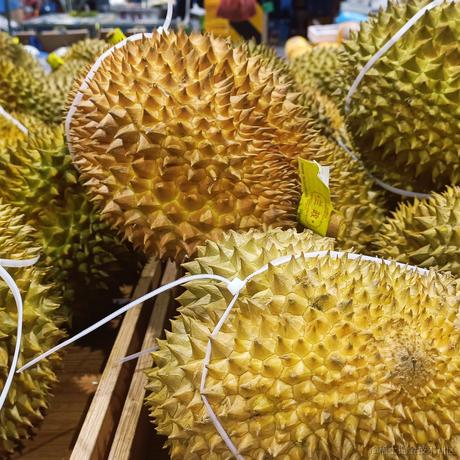 高阶领主马拉什于2023-06-26 21:18发布的图片