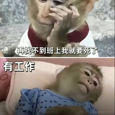 小肥鸭于2024-06-24 17:22发布的图片