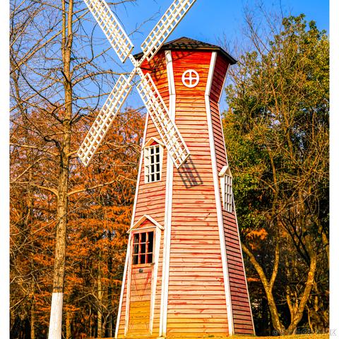 光影童于2024-01-09 09:38发布的图片