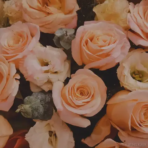 八云今晚亲晚晚于2022-12-12 08:29发布的图片