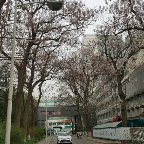 cheongchengwa于2022-04-17 16:01发布的图片