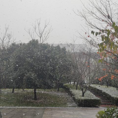 前端辣子鸡于2022-11-30 15:22发布的图片