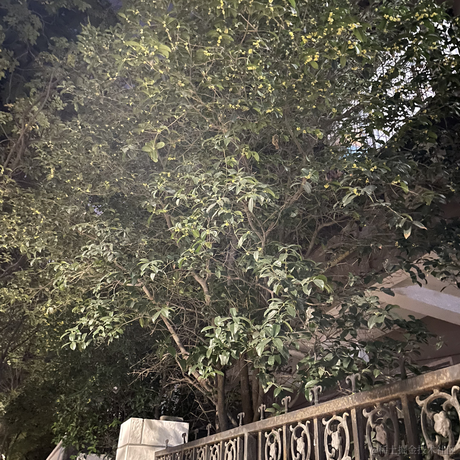 YUN距离于2022-10-03 21:55发布的图片