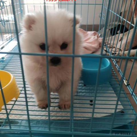 抓哇练习生于2023-05-25 15:54发布的图片