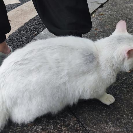 用户113997850954于2023-05-08 19:10发布的图片