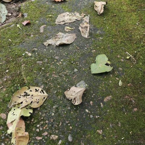 朱丽娜于2021-04-06 15:25发布的图片