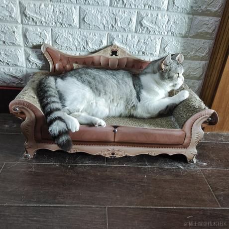 烟火撞星辰于2022-06-08 00:27发布的图片