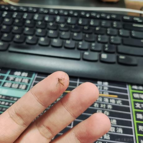 优秀稳妥的金枪小魔王于2023-05-23 15:23发布的图片