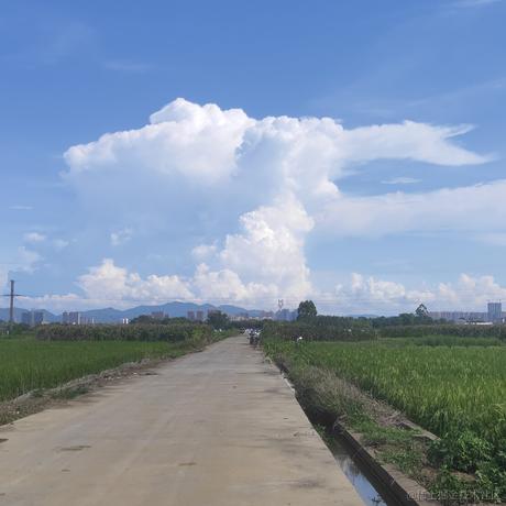 枝江第一机器人于2022-11-11 10:26发布的图片