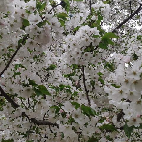 getify于2023-03-25 17:01发布的图片