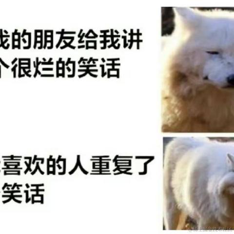 叶璇于2023-04-18 12:46发布的图片