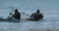 273.GIF