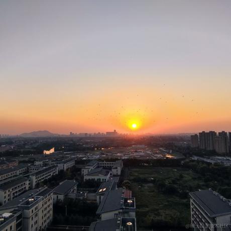 坚果派_坚果于2022-06-24 07:04发布的图片