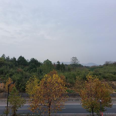 Eileeeen于2022-11-22 17:35发布的图片