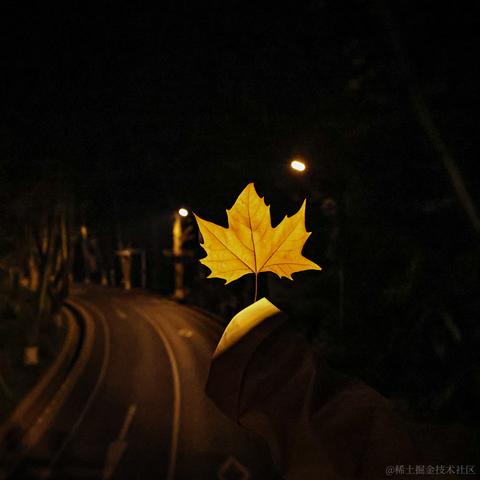 吾与徐公孰美耶于2023-11-08 16:34发布的图片