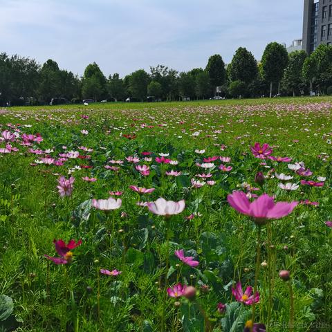 sunset_于2023-05-17 15:21发布的图片