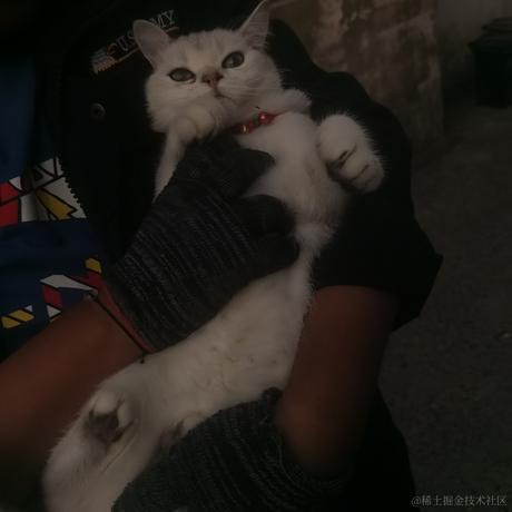 空城旧梦辞旧人于2022-11-24 08:04发布的图片