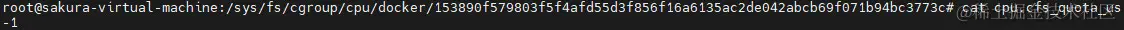 查看cpu.cfs_quota_us内容