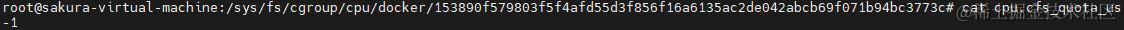 查看cpu.cfs_quota_us内容
