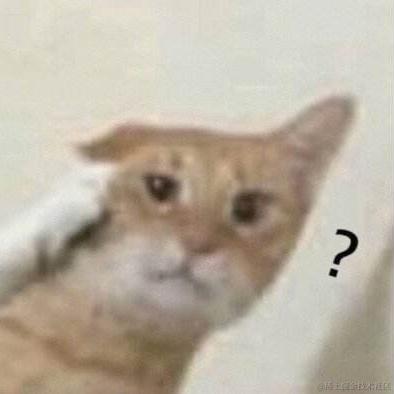 小兔子怎么听得懂这些呢于2022-12-07 01:44发布的图片