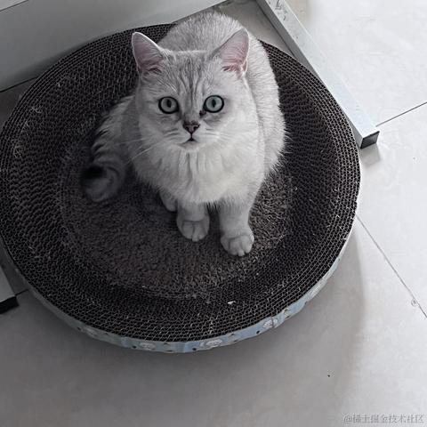 用户5832511041996于2023-02-09 02:22发布的图片