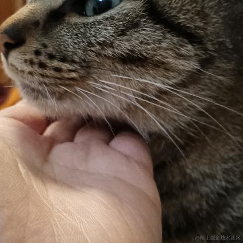 耶耶耶耶cc于2022-12-02 08:41发布的图片