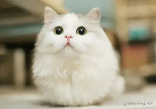 数据结构与算法