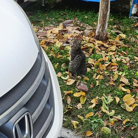 onetwo于2022-11-24 10:07发布的图片