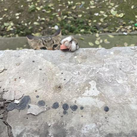 乃王木木不困于2022-11-21 11:37发布的图片